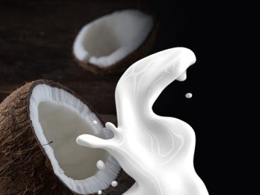 Low Histamine Vegan Keto Coconut Soup