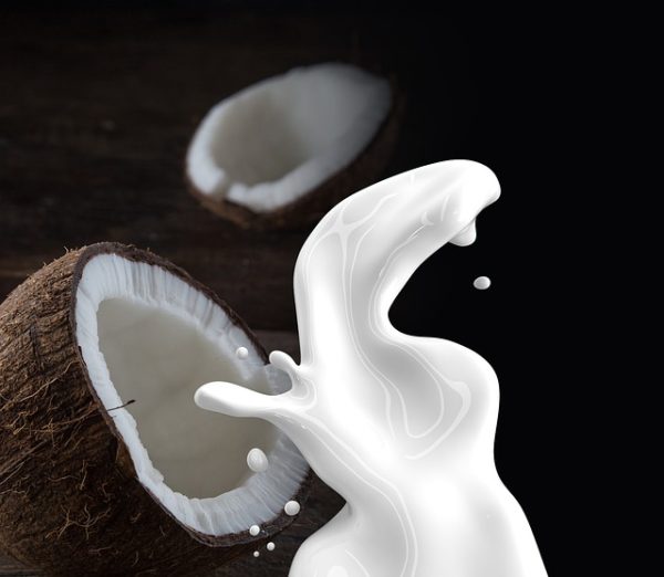Low Histamine Vegan Keto Coconut Soup