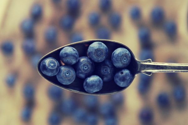 Vegan low histamine blueberry dessert